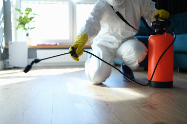 Reliable Infectious Disease Decontamination contractor in Angelus Oaks, CA by Trauma Clean Pros